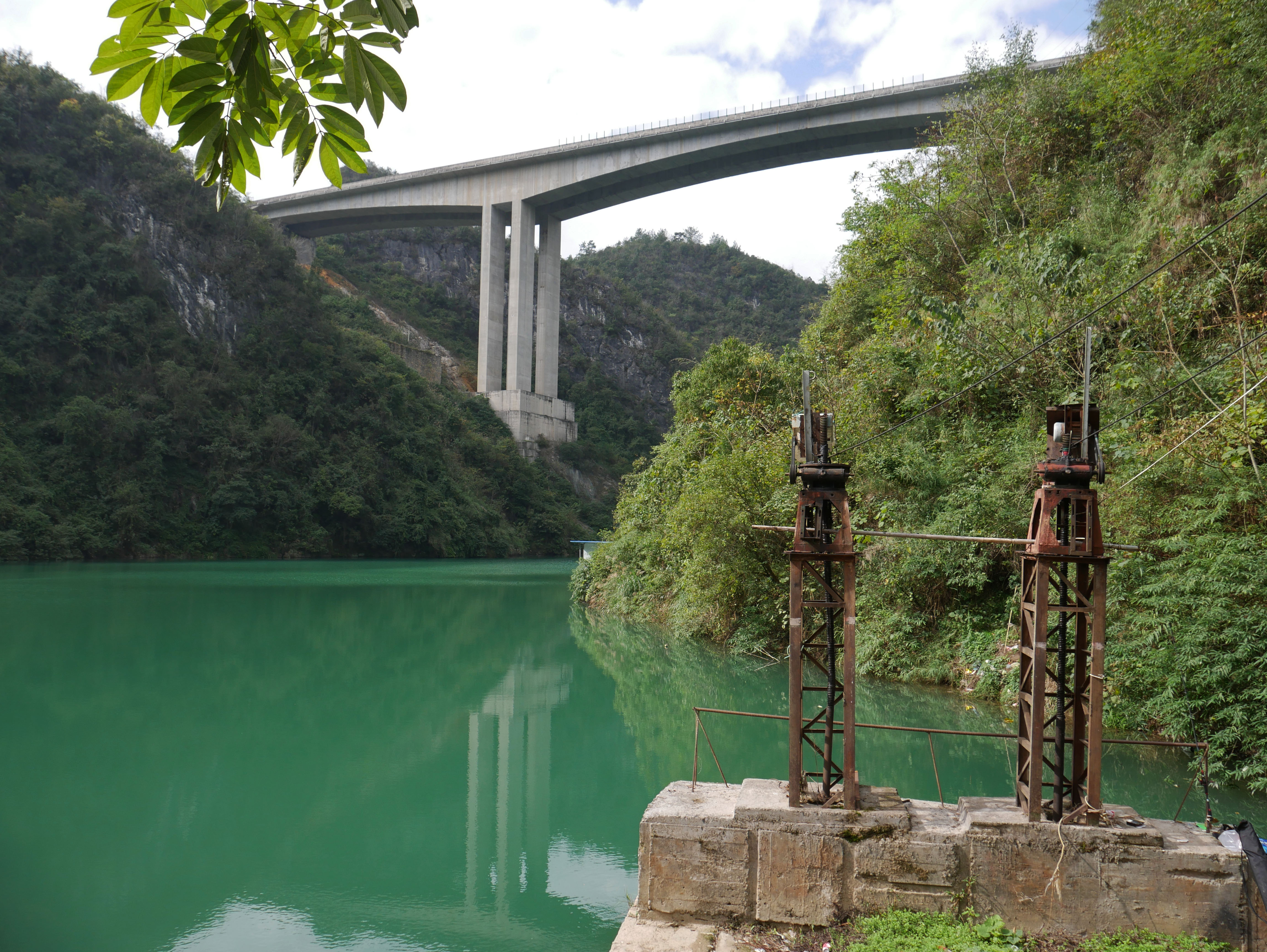 FengleheTreeLake.JPG