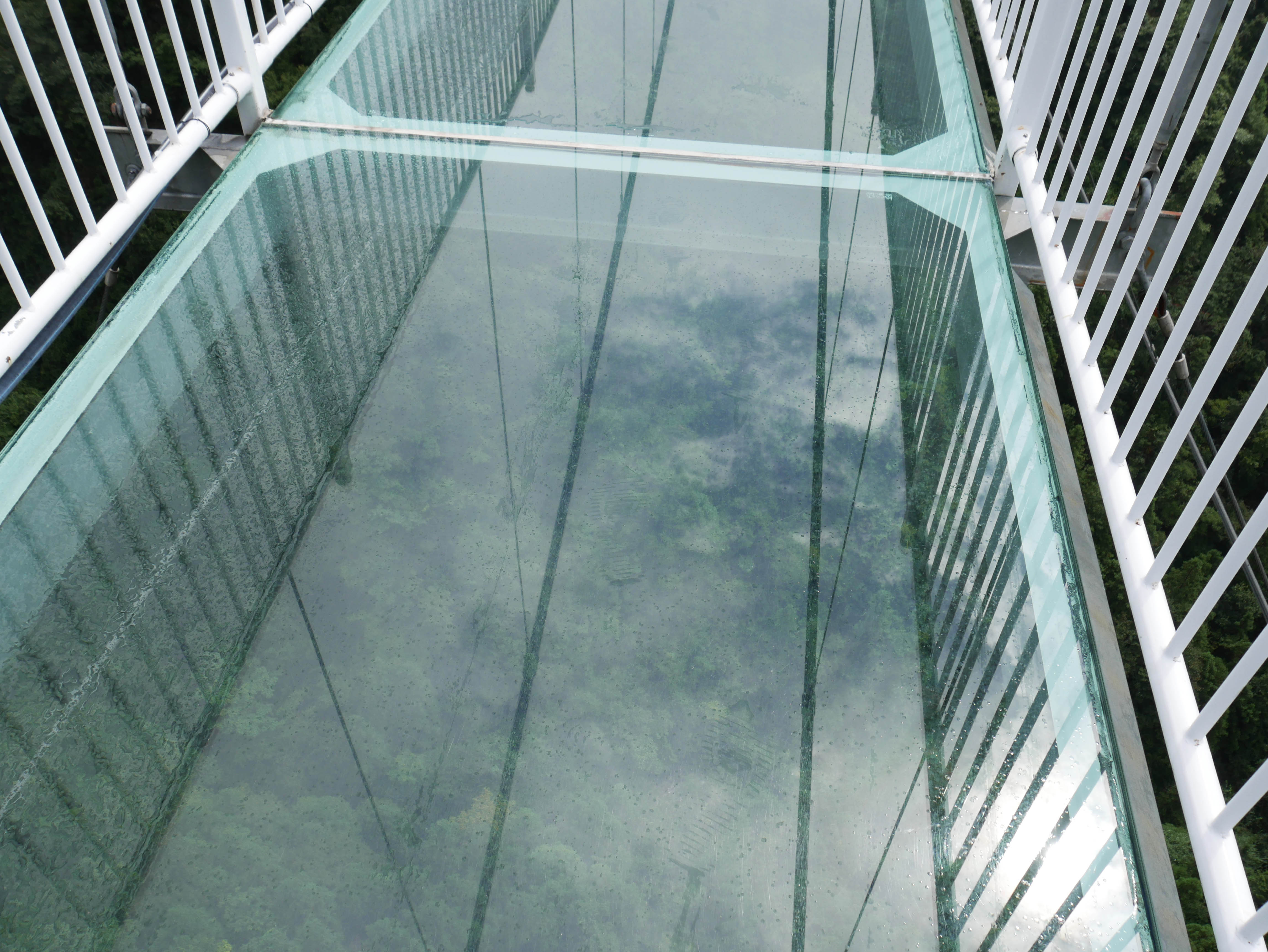 LingjiangyuanGlassFootbridgePanel.JPG