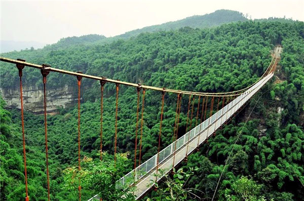 Jinjigu footbridge highview.jpg