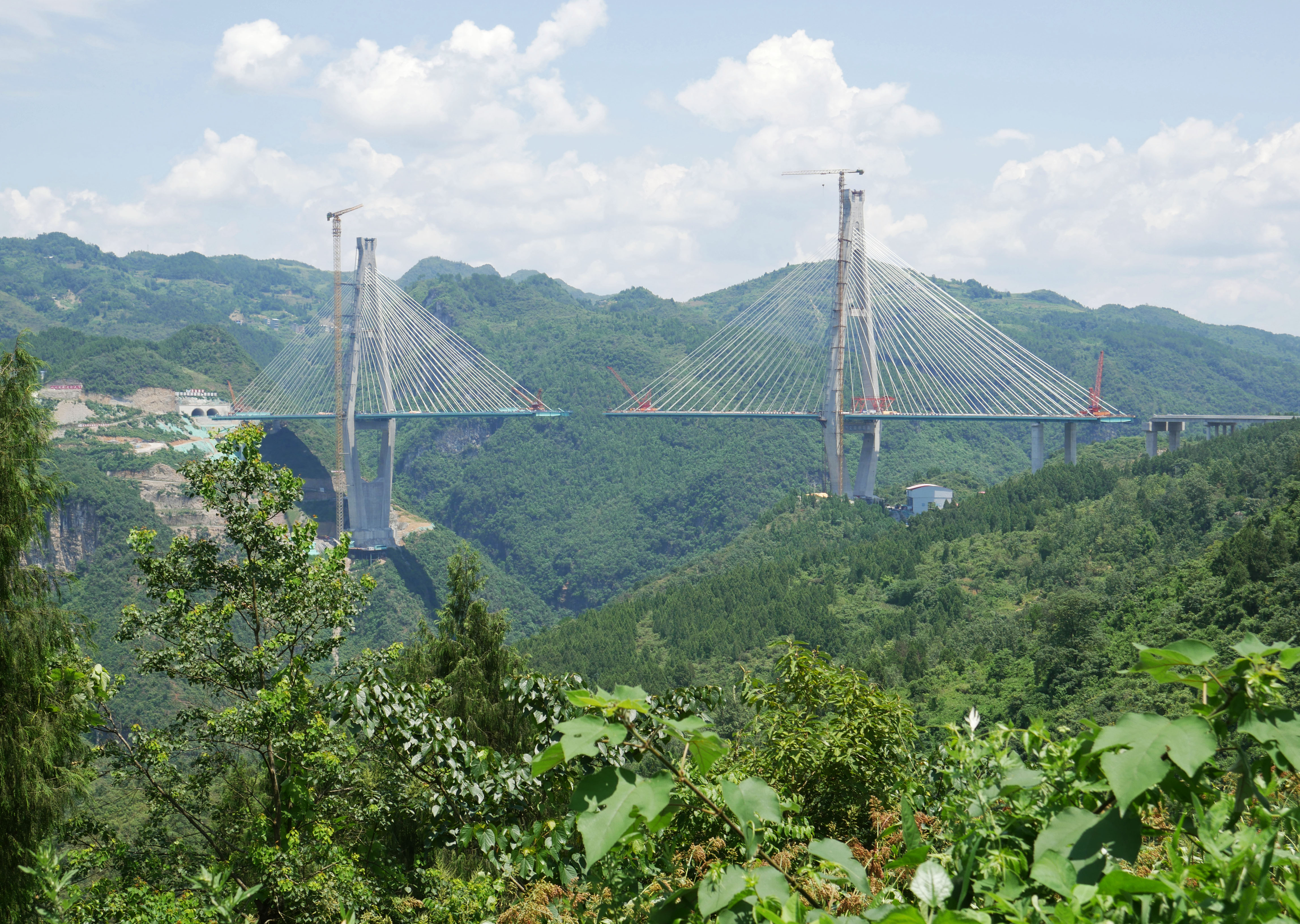 Chishuihe Bridge JinshaTrees.JPG