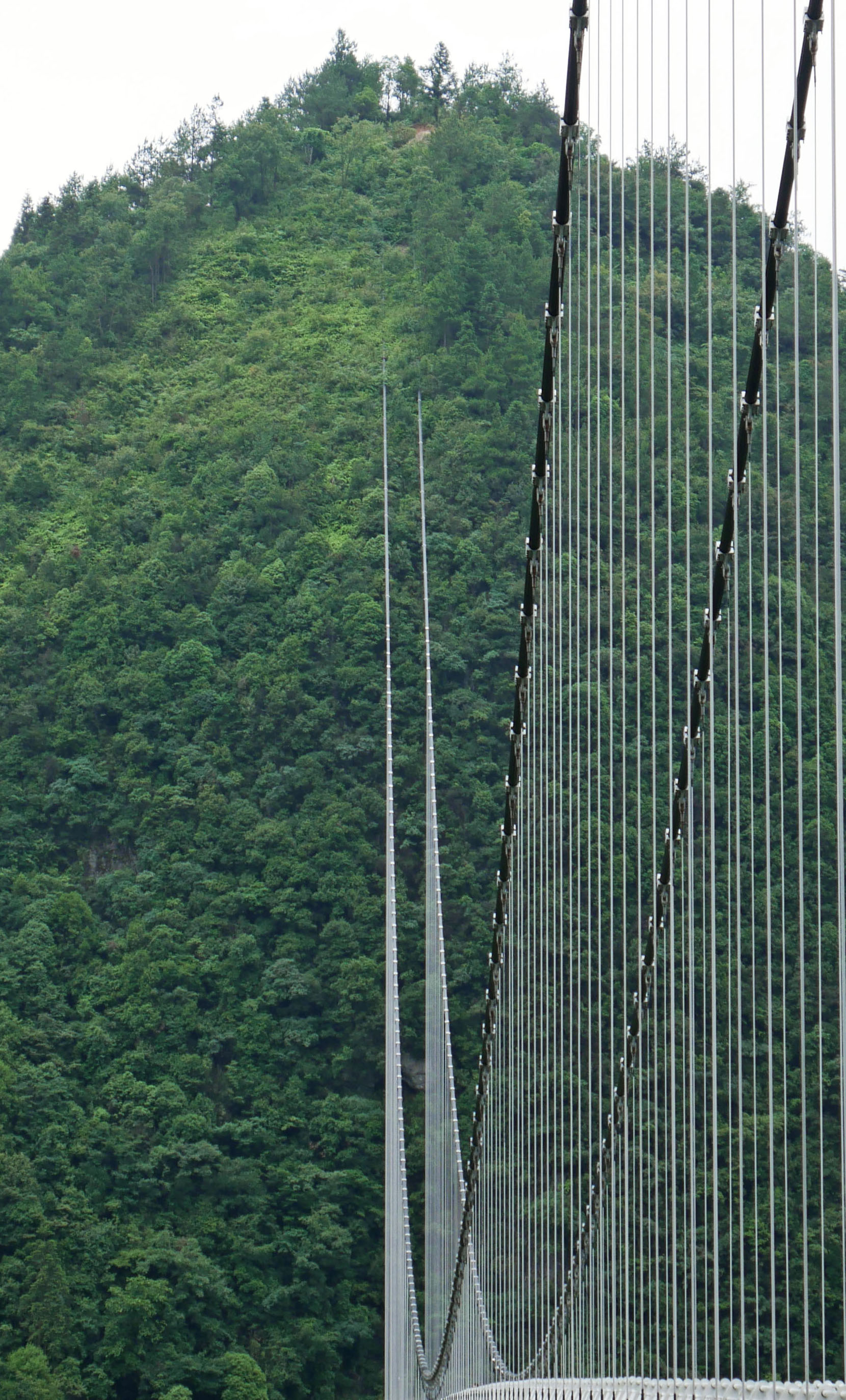 Yundingfeidu Glass FootbridgeCrop.JPG