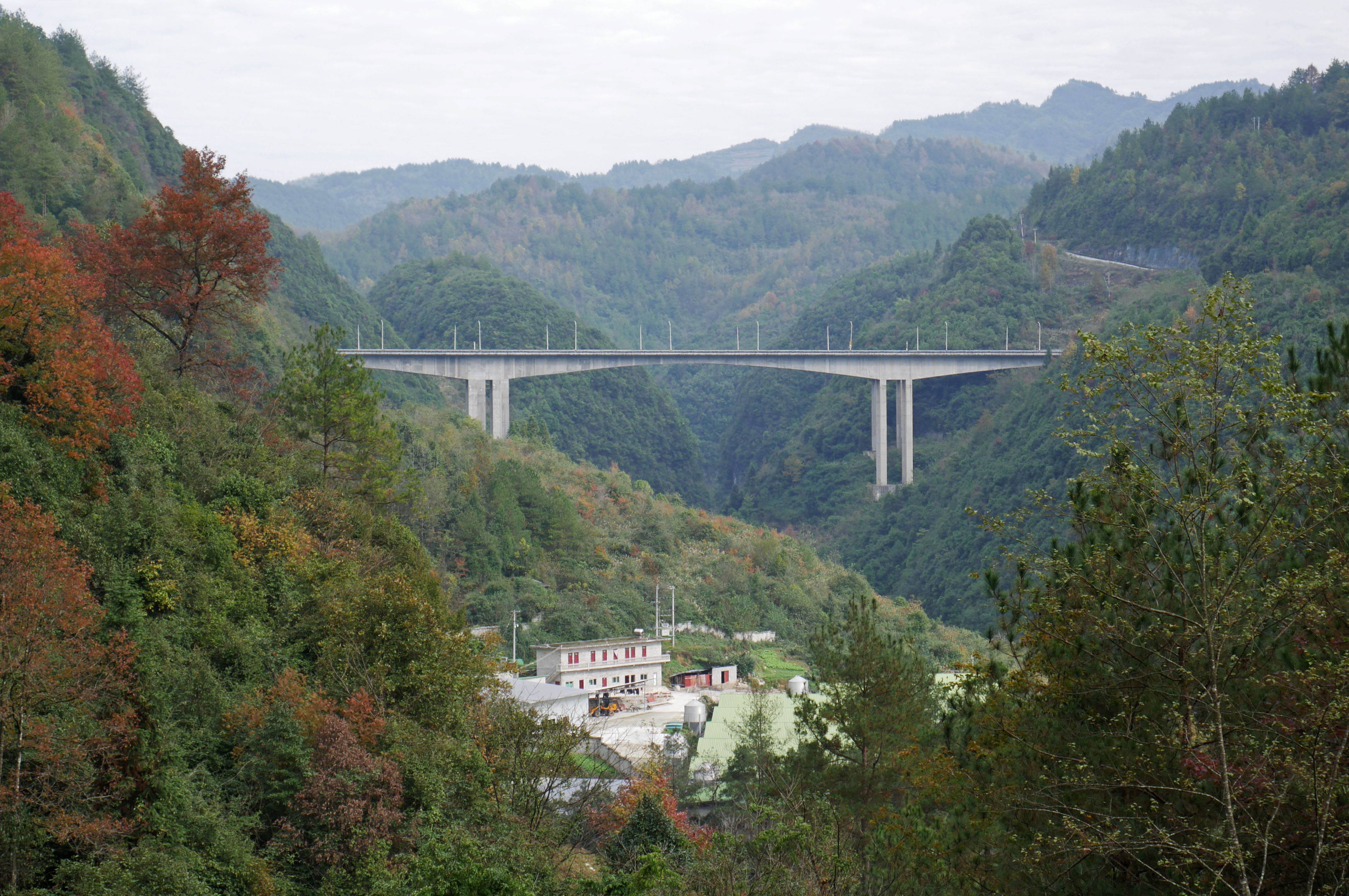 XiaoxiLonglens.JPG