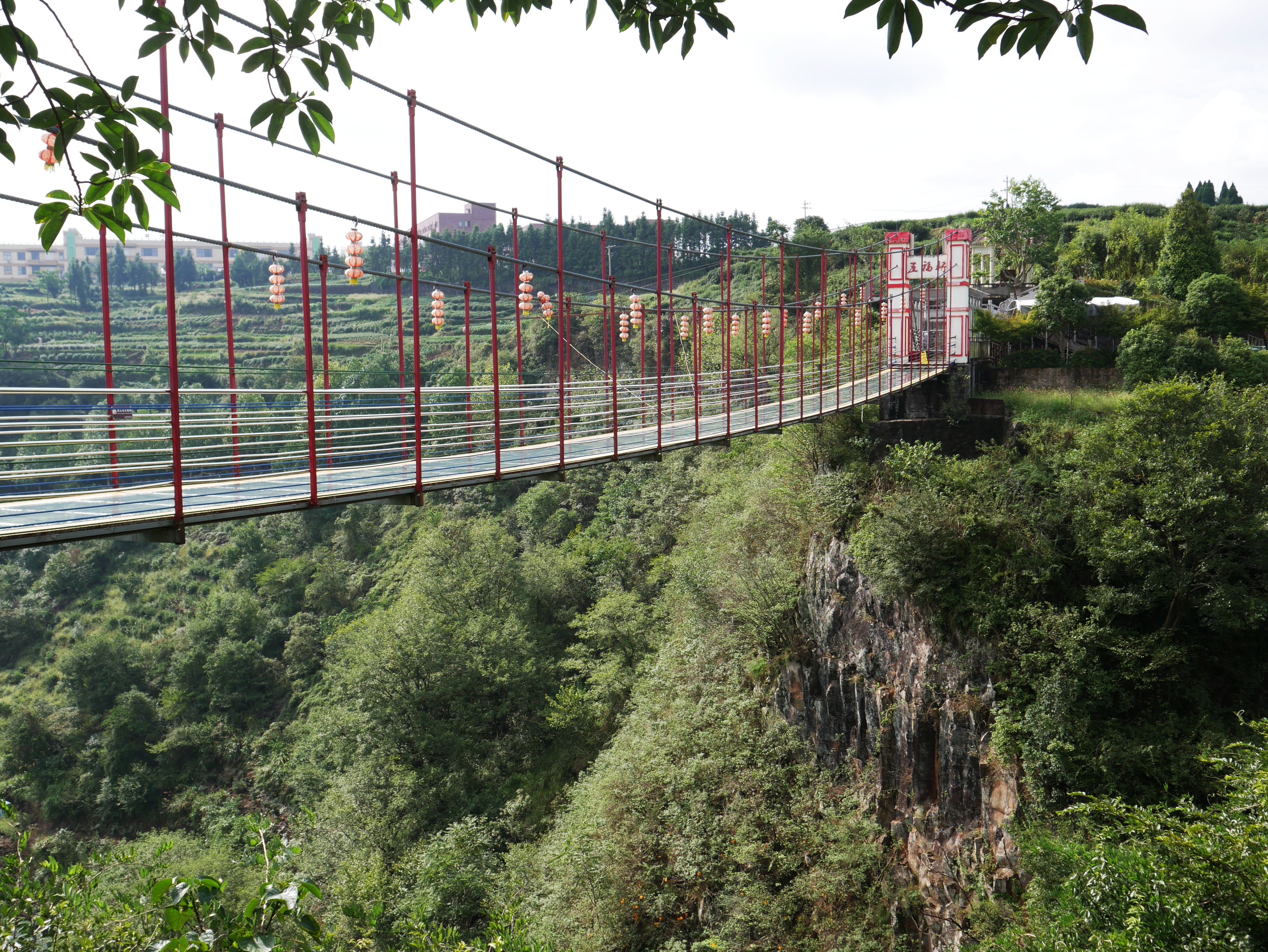 WulongGorgeFootbridgeTreesSky.JPG