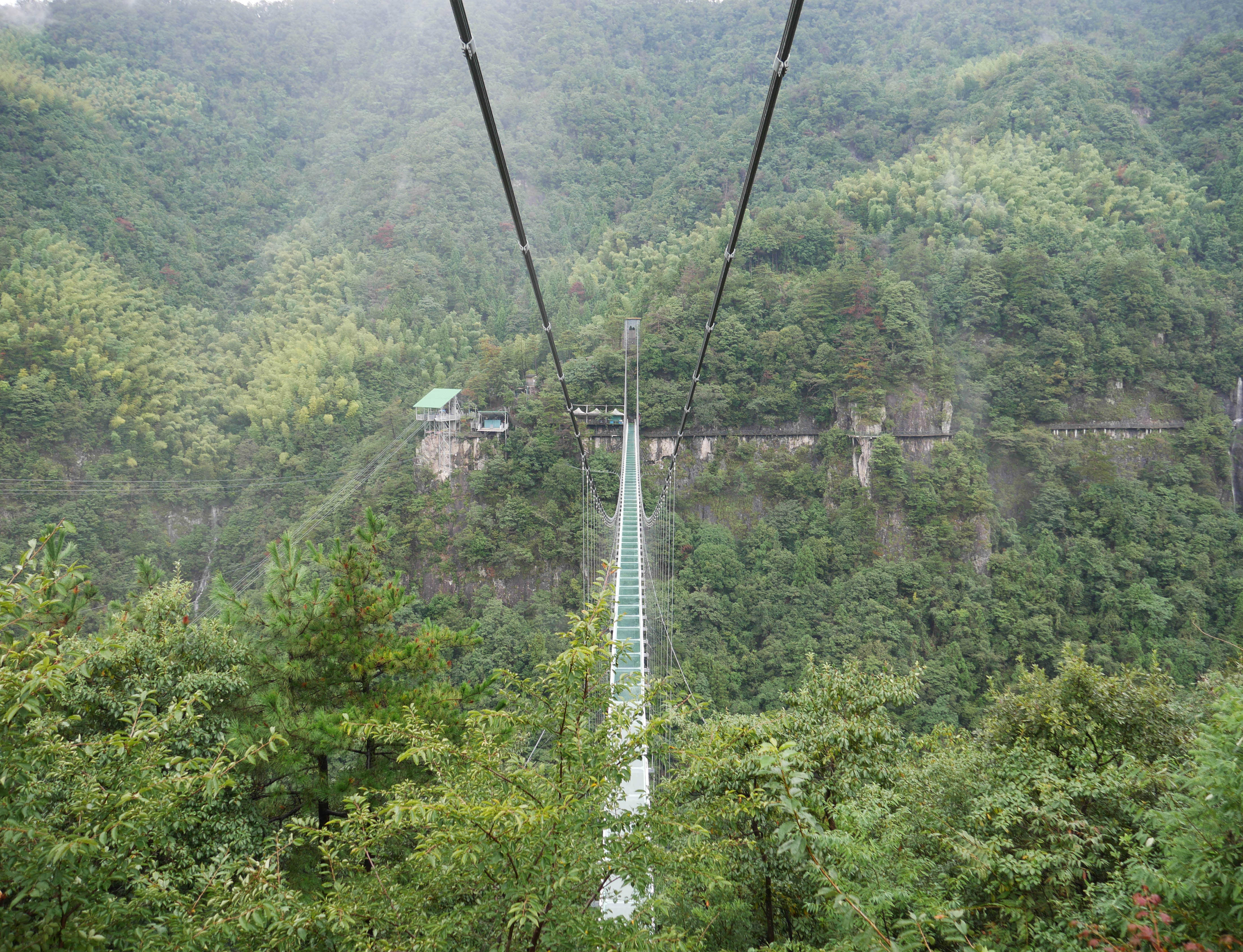LingjiangyuanGlassFootbridgeCablesTrees.JPG