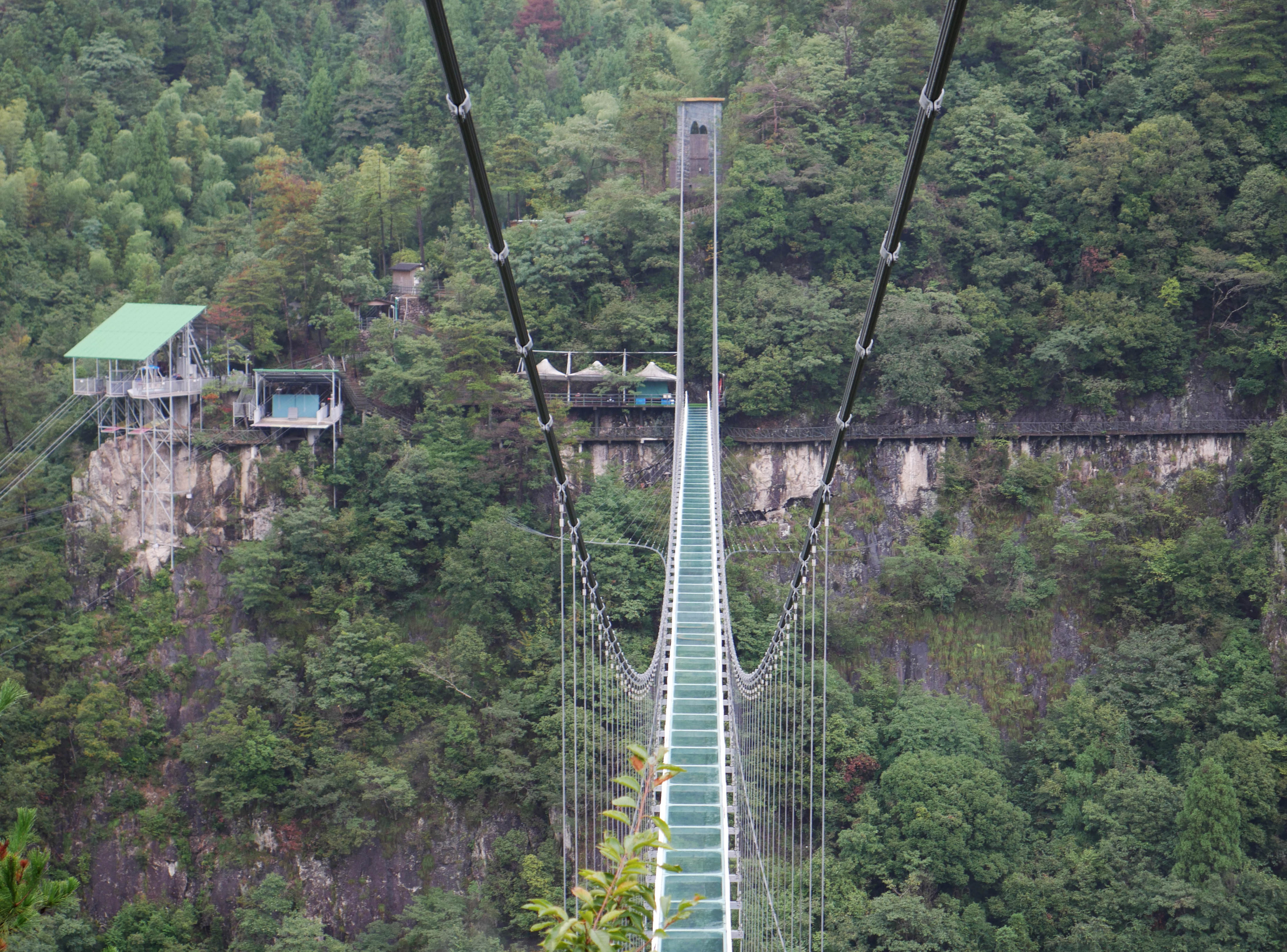 LingjiangyuanGlassFootbridgeTreesLonglens.JPG