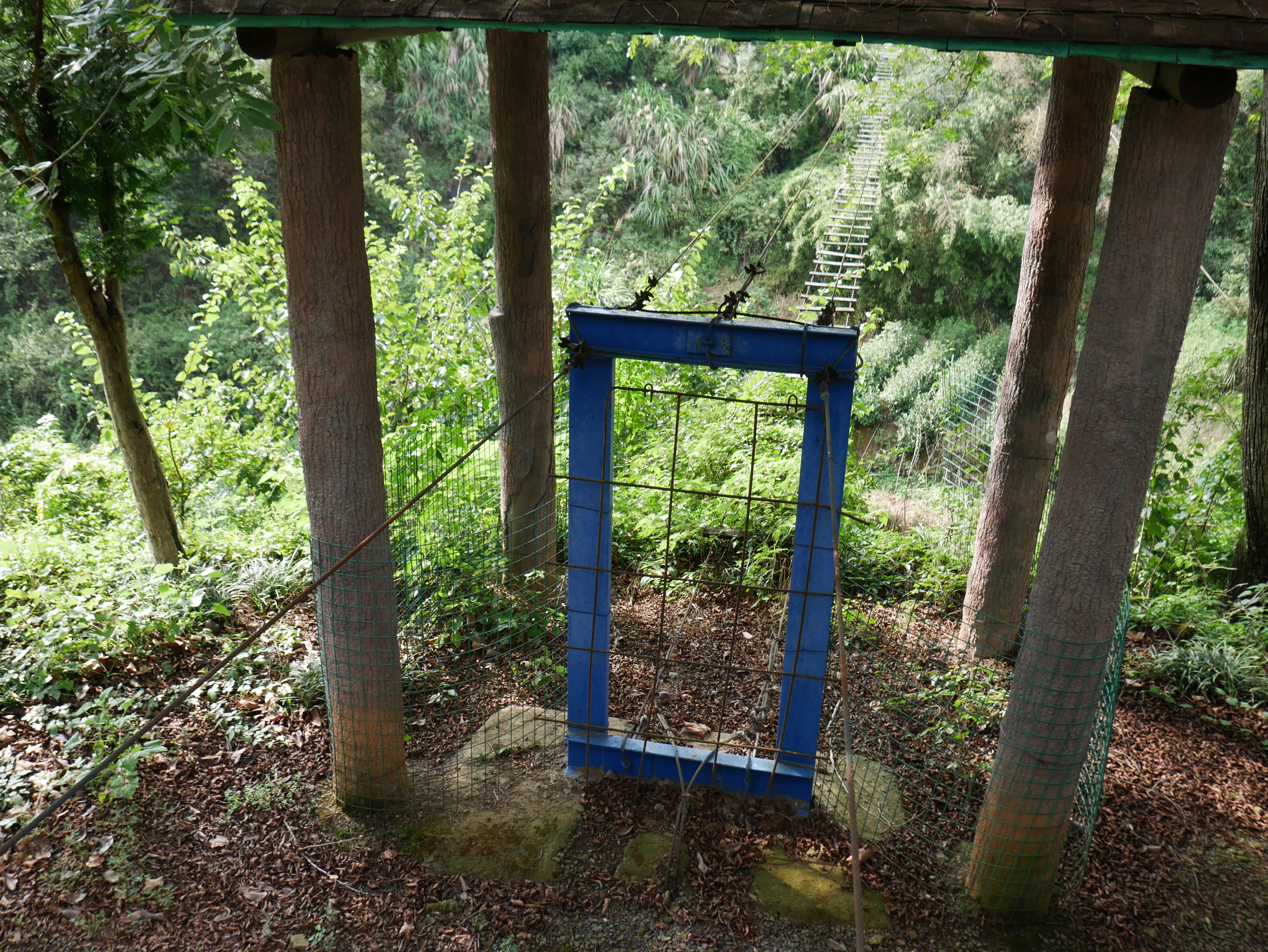 WulongGorgeFootbridgeTreesPlanks.JPG