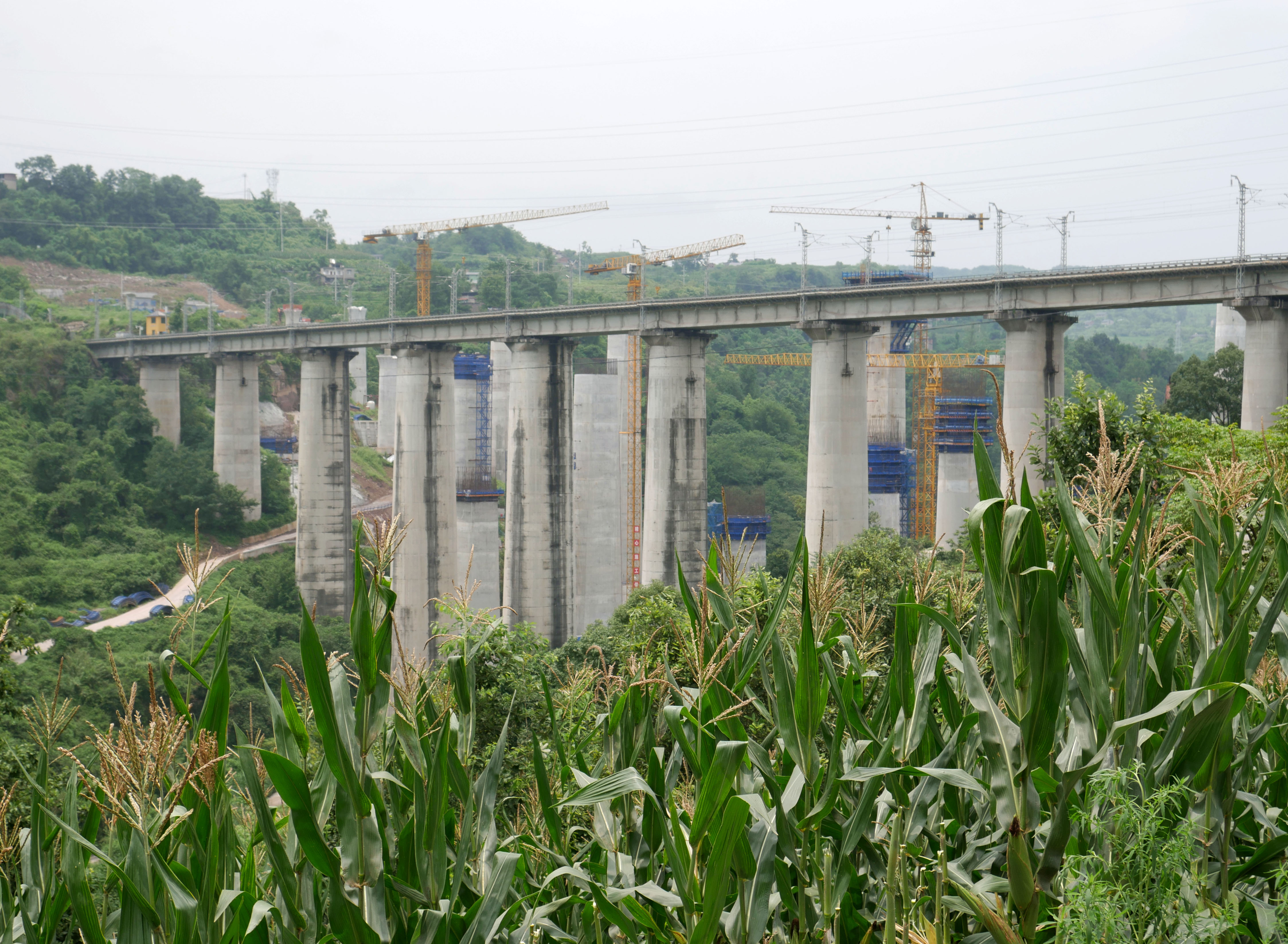 Daqinggou RailwayCorn.JPG