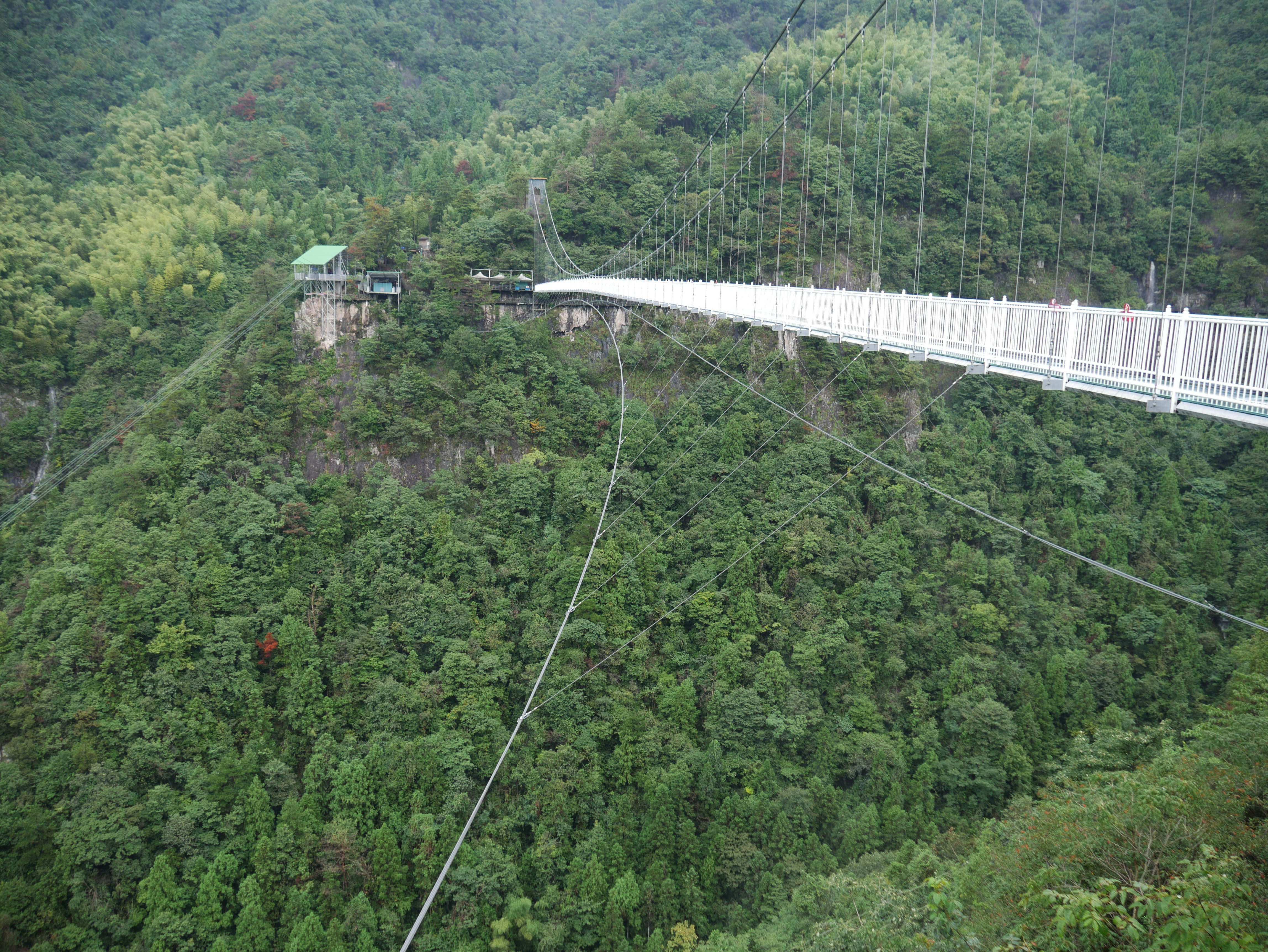LingjiangyuanGlassFootbridgeForestSlope.JPG