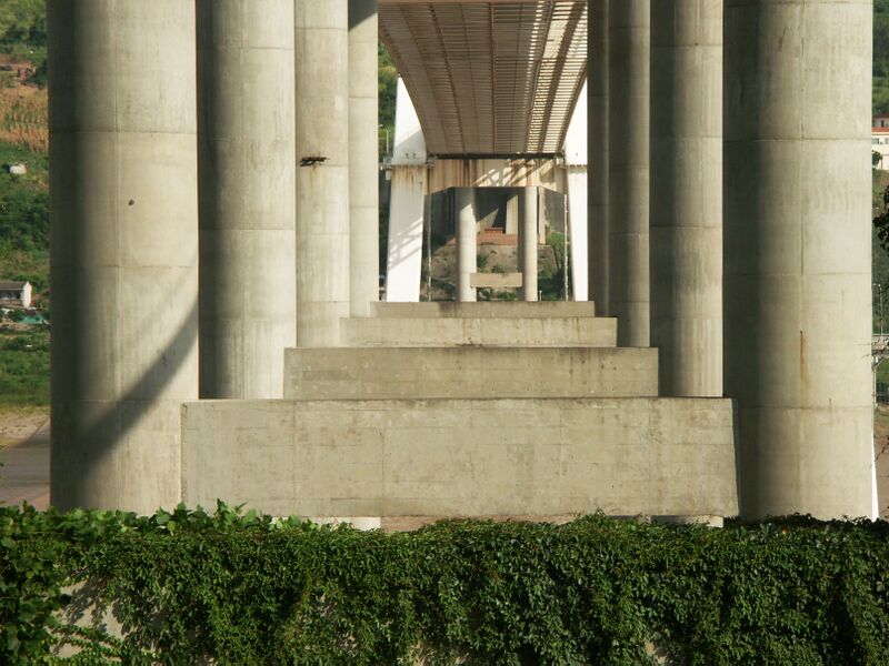 File:Wanzhou2ndBridgeLonglens2.jpg