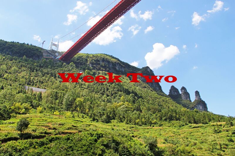 File:1Week2.jpg