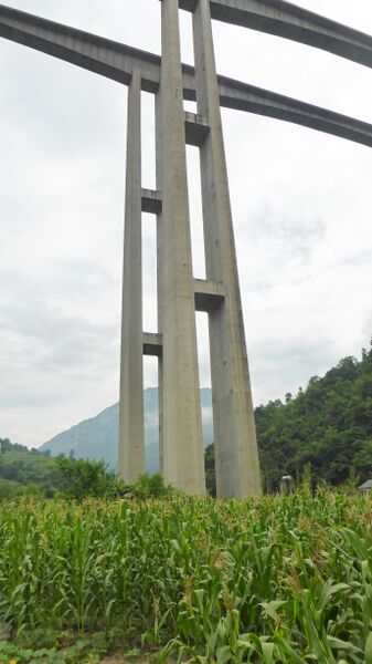 File:11LongtanhebyFilmer.jpg
