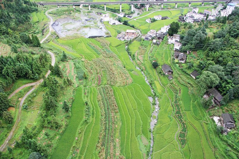 File:BamaochongFields.jpg