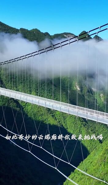 File:YundingfeiduGlassFootbridgeDeckCables.jpg