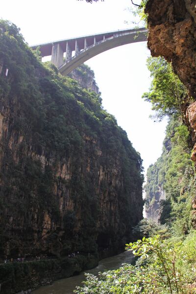 File:389MalingheParkConcreteArchFromBelow2.jpg