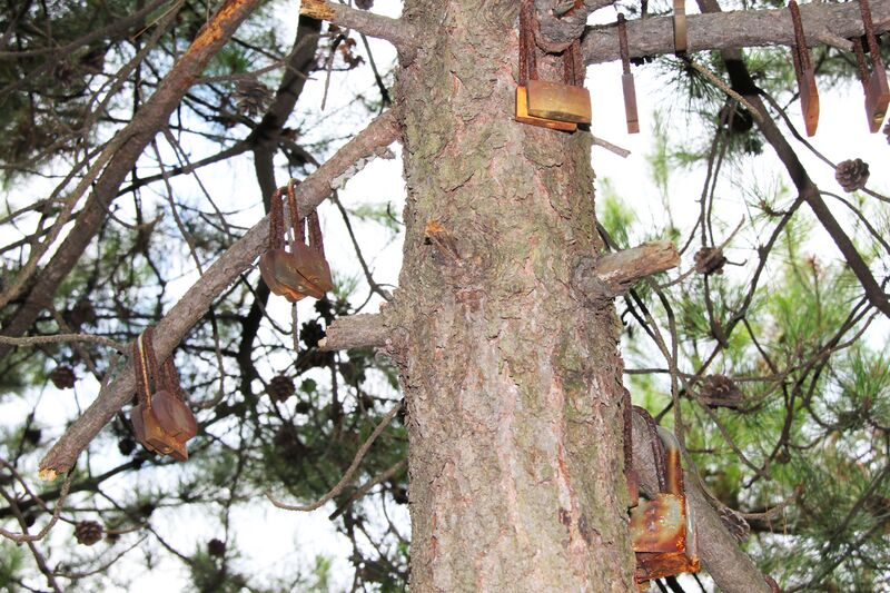 File:185ZhangjiajieParkLocks.jpg