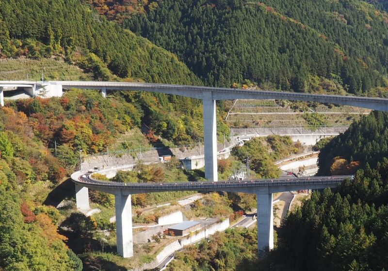File:RaidenBy mthr 110.jpg