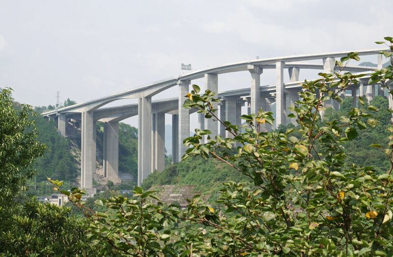 File:DabaopuTrees.JPG