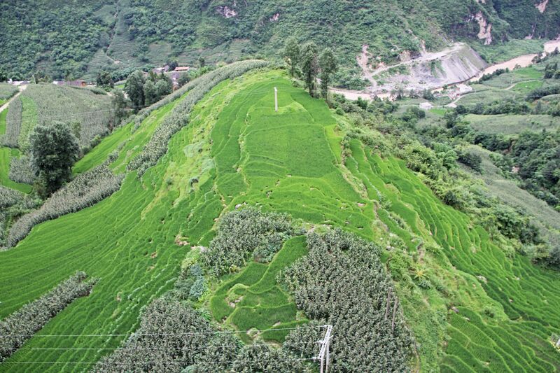 File:LongdongwanGreenTerrace.jpg