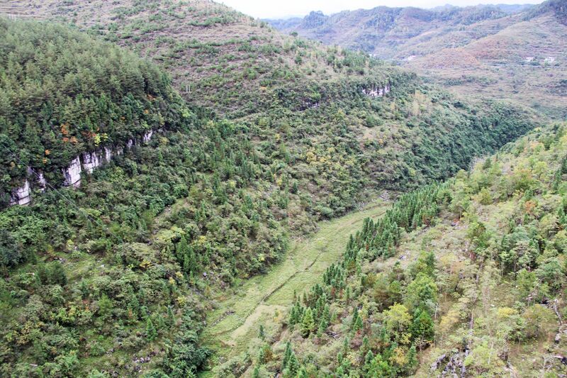 File:QingqubaS25BeamRiverValley.jpg