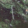 Thumbnail for version as of 12:13, 19 May 2020