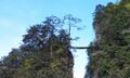 Thumbnail for version as of 04:16, 1 July 2023