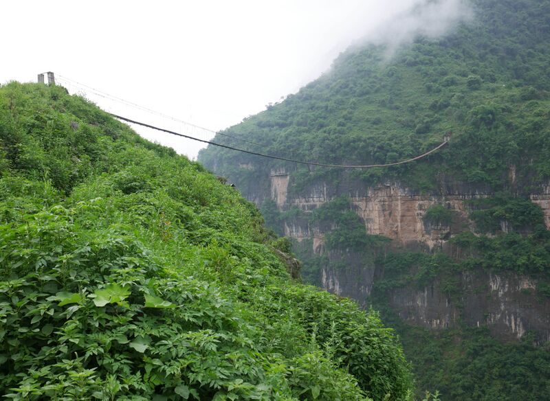 File:WujiaoPipelineGreenTrees.JPG