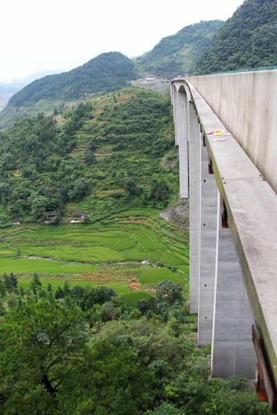 File:BamaochongFromDeck.jpg
