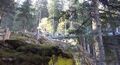 Thumbnail for version as of 06:21, 15 April 2020