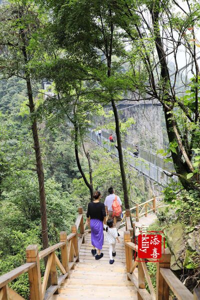 File:Yaowangshan Glass Trees.jpg