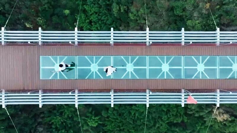 File:LongguashanFootbridgeGlassDown.jpg