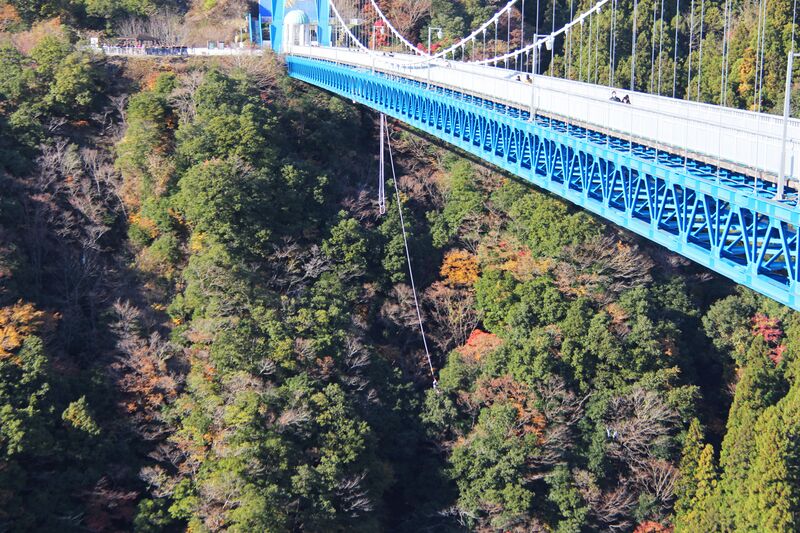 File:RyujinBungyJumperSwing.jpg