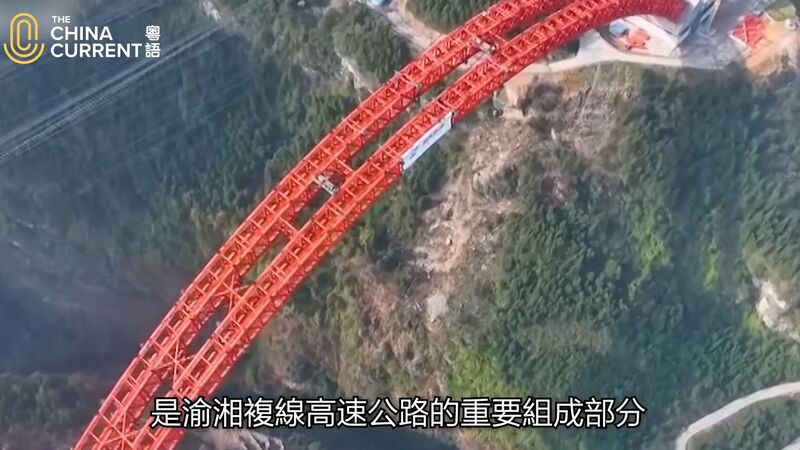 File:ShuangbaoRibsDown.jpg