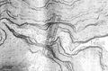 Thumbnail for version as of 01:01, 5 June 2026