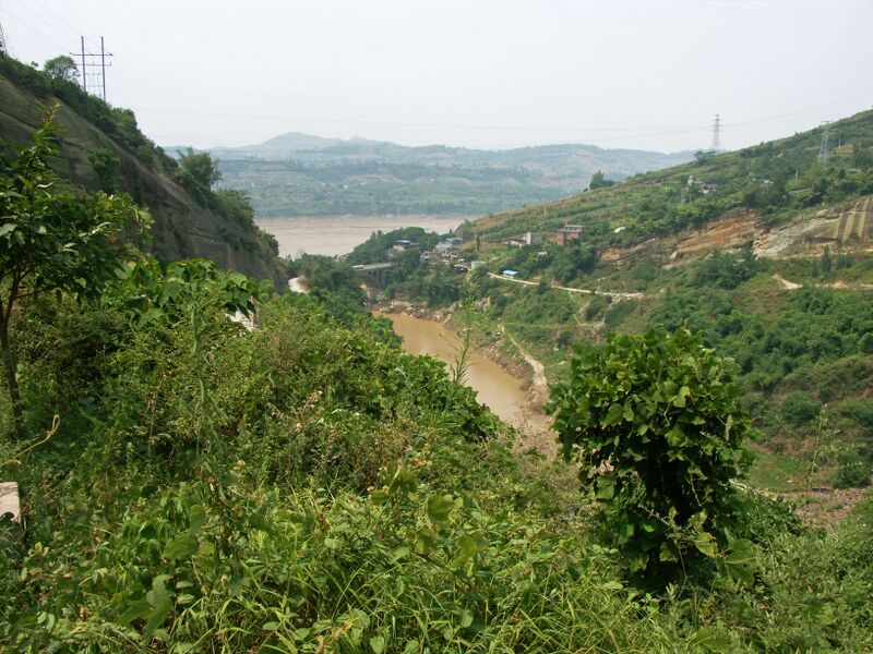 File:UnknownFengfu10BridgeYangtze.jpg