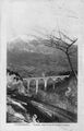 Thumbnail for version as of 11:58, 19 May 2020