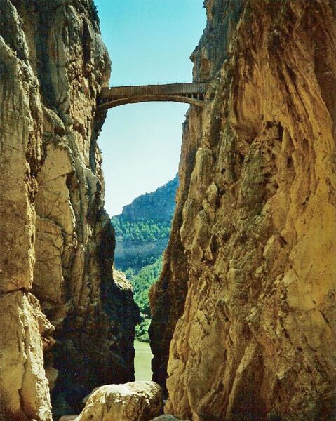 File:CamanitoPipelineBridge.jpg