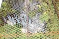Thumbnail for version as of 23:21, 31 May 2016