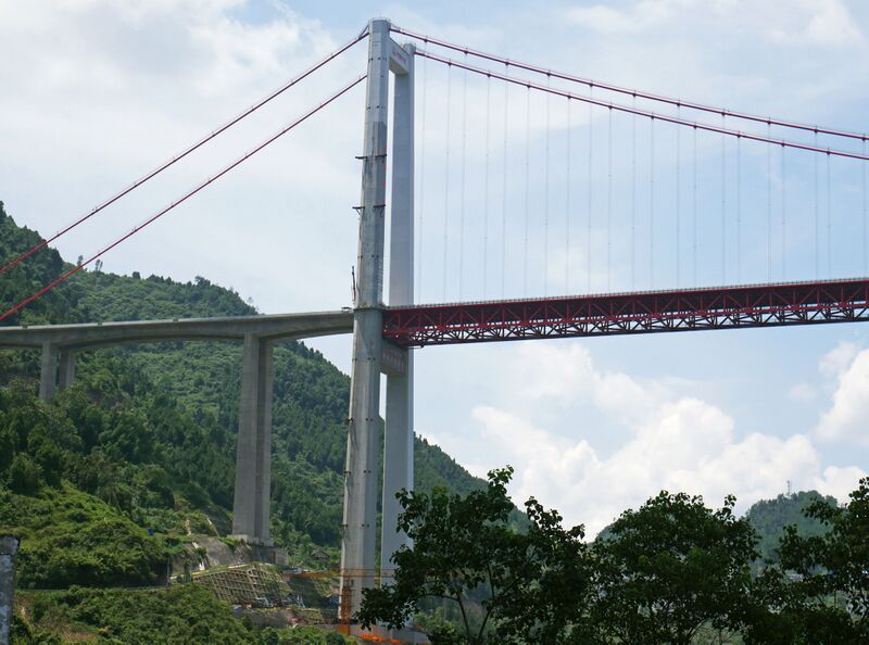 File:TongziheJinrentongTrees.JPG