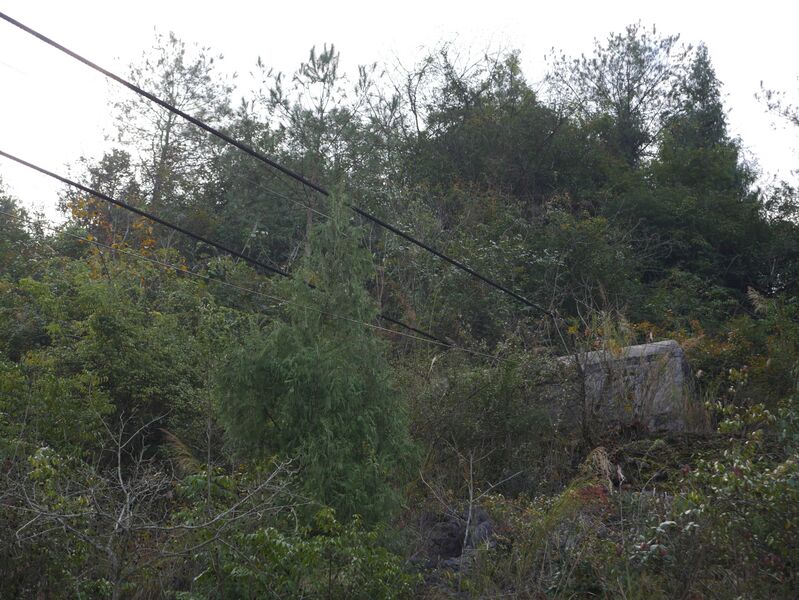 File:Wuchuan Nanmu FootbridgeFoundationSlope.JPG