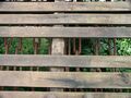 Thumbnail for version as of 10:41, 20 September 2009