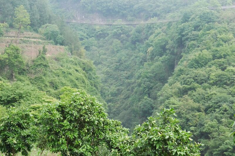File:Tongzi FootbridgeSide.JPG