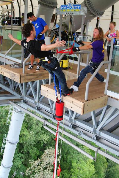 File:BungyJumperDropImageBySkyBridgeAJHackett.jpg