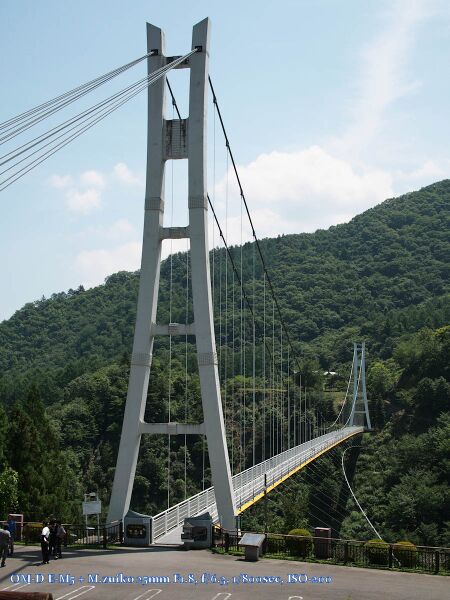 File:UenoTower2.jpg
