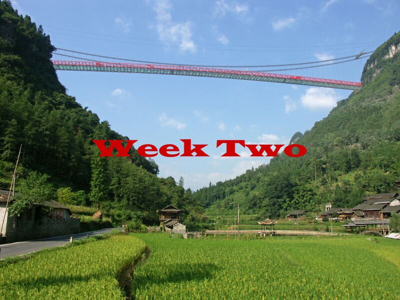 File:AizhaiBridgeWeek2.jpg