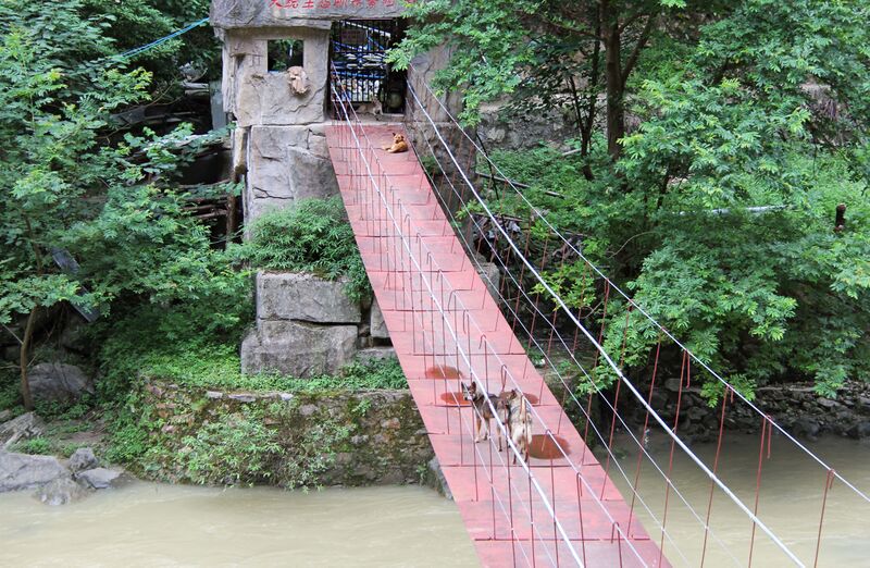 File:619FengjieSouthRoadFootbridge copy.JPG