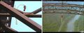 Thumbnail for version as of 05:04, 2 November 2009