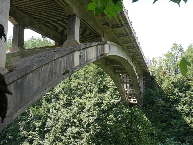 File:TianjingxiaTrees.JPG