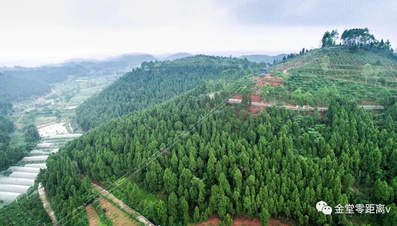 File:Yuhuang YangshengguZip.jpg