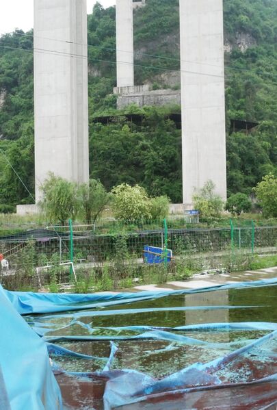 File:ShajiaoWater.JPG