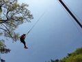 Thumbnail for version as of 08:33, 7 June 2017